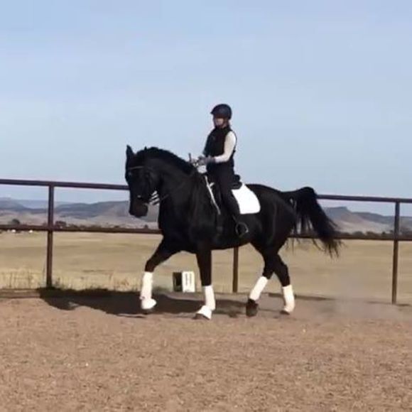 marlenadressage